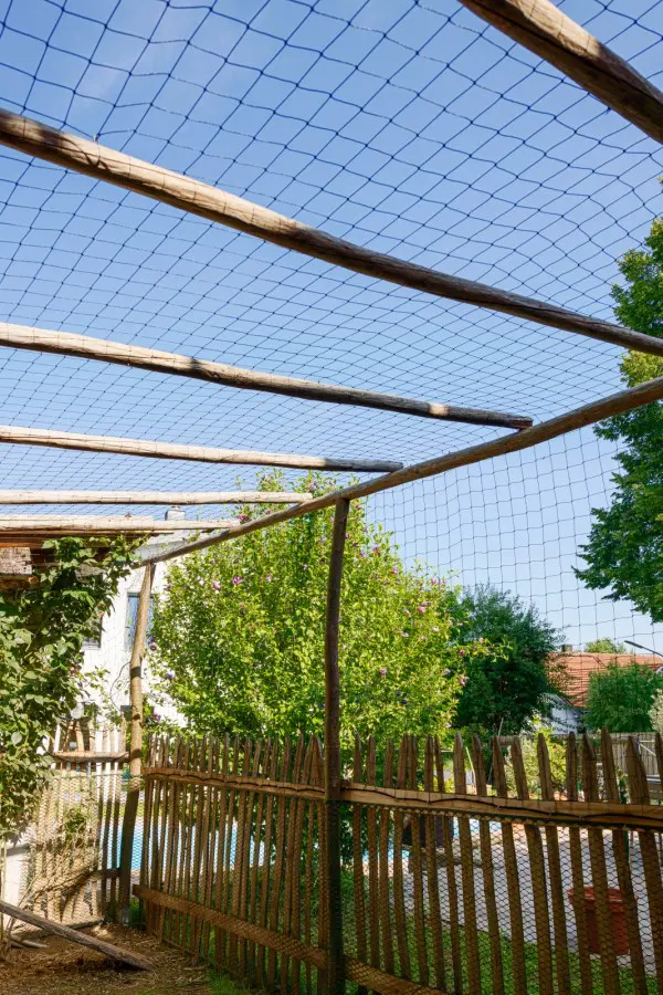 Apsauginis tinklas nuo paukščių